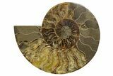 Cut & Polished, Agatized Ammonite Fossil - Madagascar #317504-2